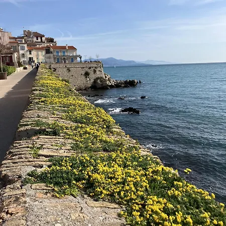 A Deux Pas Des Plages Et Au Coeur Du Vieil , Beau Renove Apartament Antibes